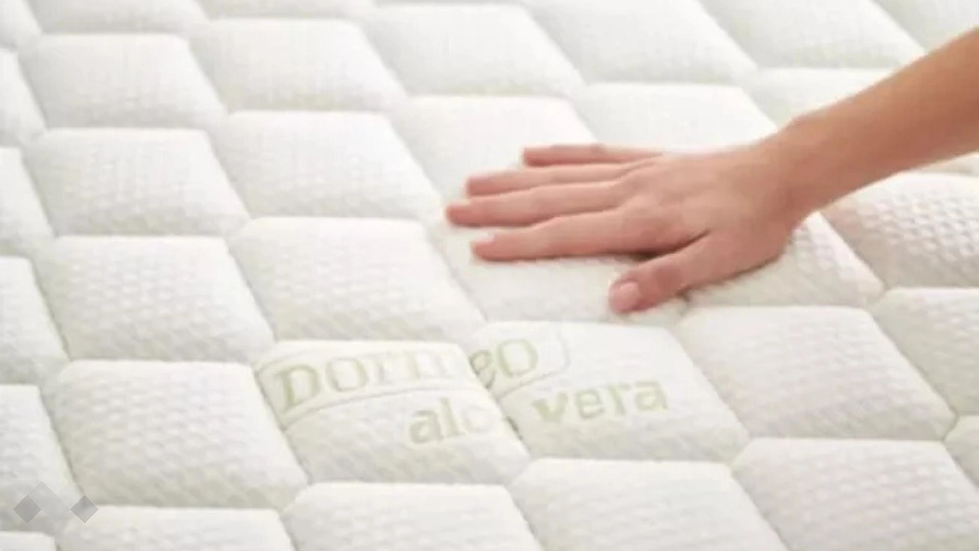 Aloe Vera Plus Memory