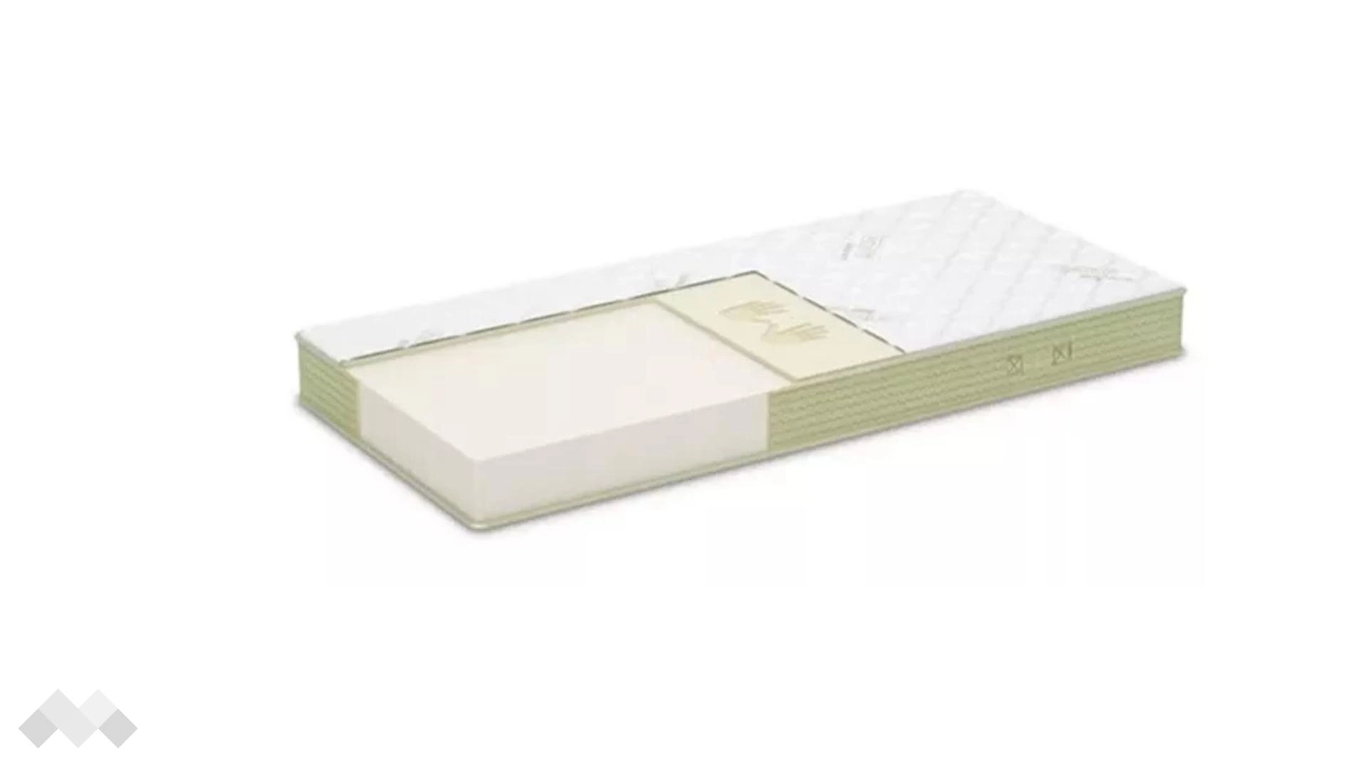 Aloe Vera Plus Memory